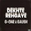 About Dekhte Rehgaye Song